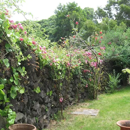 Vakantieboerderij Quinta Do Rossio, Rural Tourism *