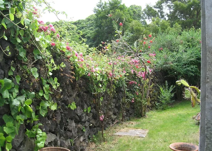 农家乐 Quinta Do Rossio, Rural Tourism *