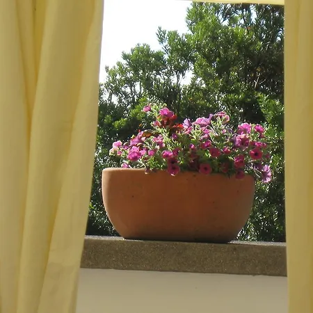 Quinta Do Rossio, Rural Tourism Bauernhof *