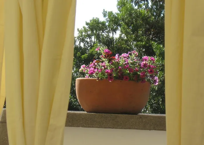 Quinta Do Rossio, Rural Tourism Alloggio per agriturismo *